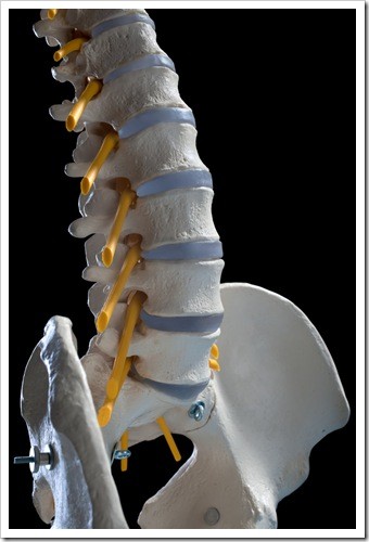 Herniated Disc and Back Pain Auburn ME
