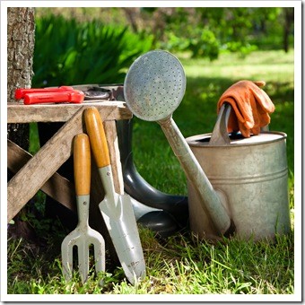 Spinal Health Gardening Auburn ME