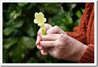 Arthritis Pain Relief Auburn ME
