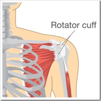Shoulder Pain Auburn ME Rotator Cuff Injury